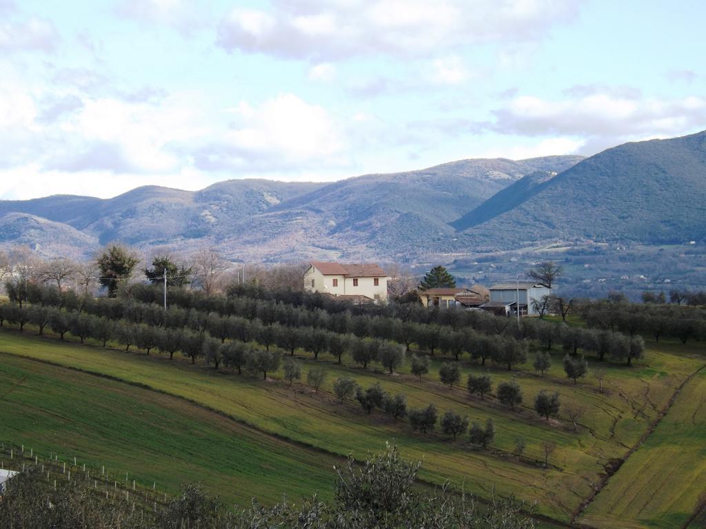 Marco & Andrea Agriturismo Amelia Exterior photo