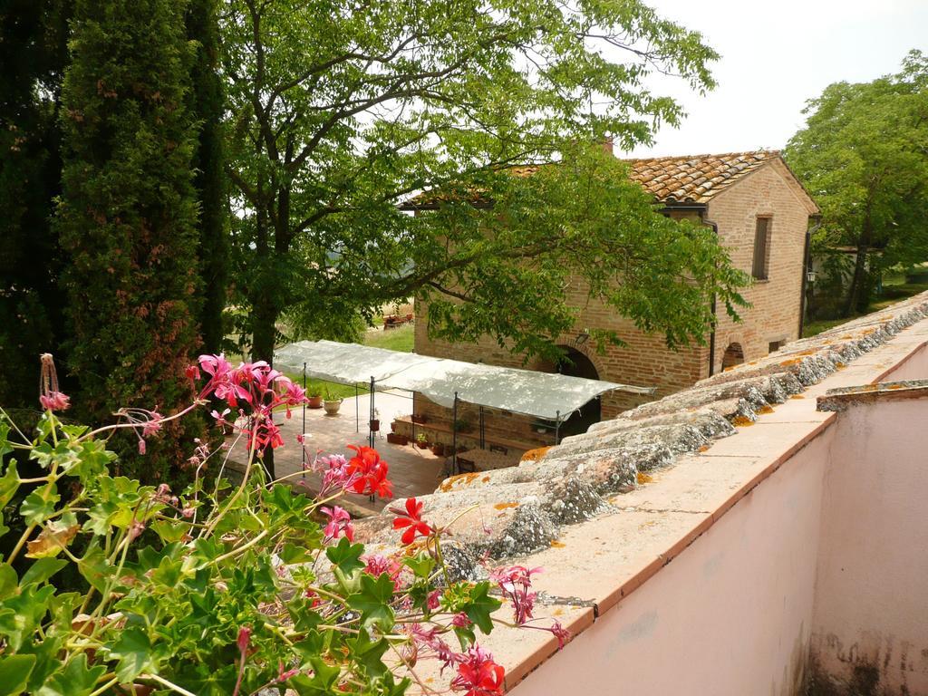 Marco & Andrea Agriturismo Amelia Exterior photo