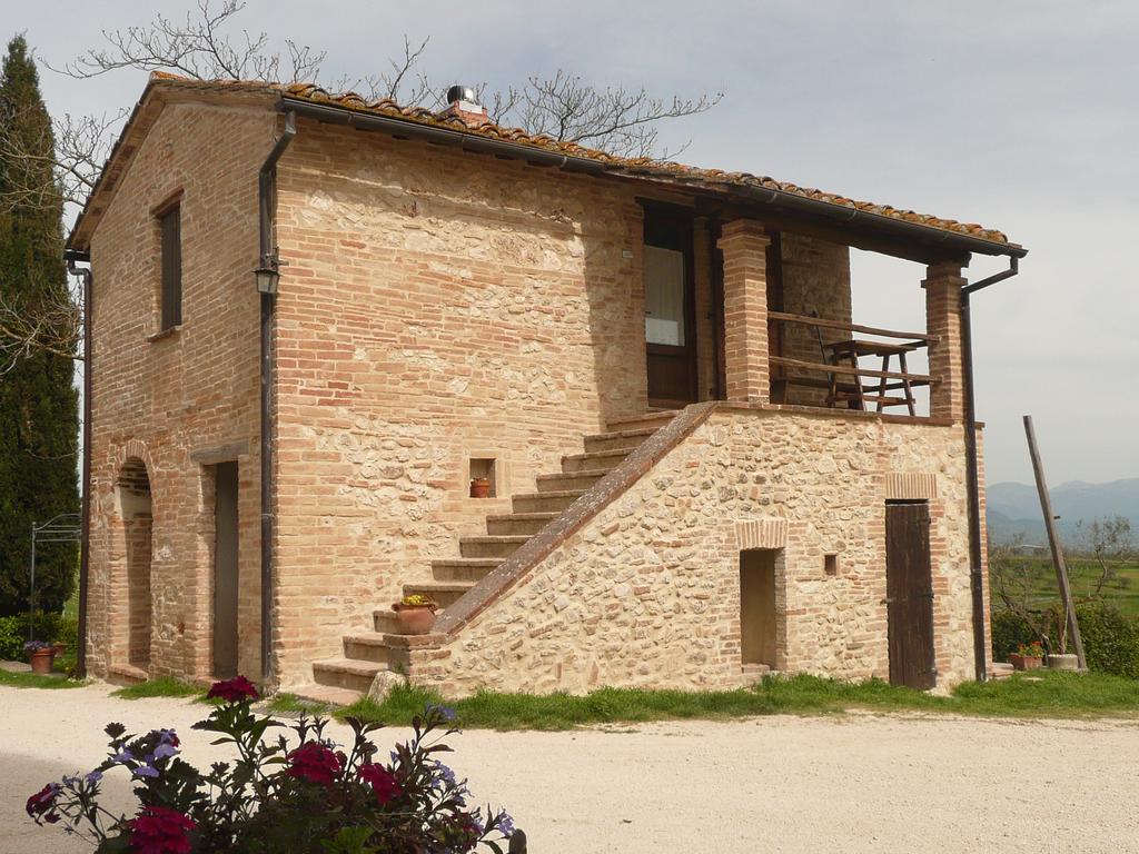 Marco & Andrea Agriturismo Amelia Exterior photo