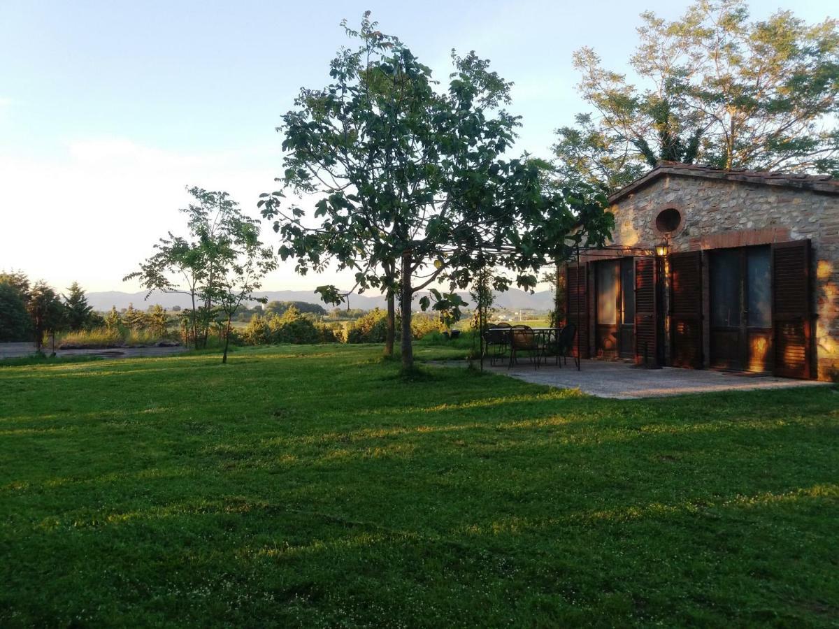 Marco & Andrea Agriturismo Amelia Exterior photo